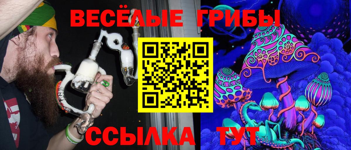 Галлюциногенные грибы Psilocybine cubensis Сергиев Посад