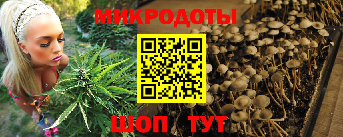 Галлюциногенные грибы Magic Shrooms  купить наркотики сайты  Сергиев Посад  Вход с VPN 